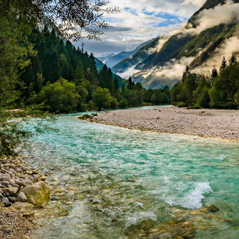 EU Biodiversity Strategy