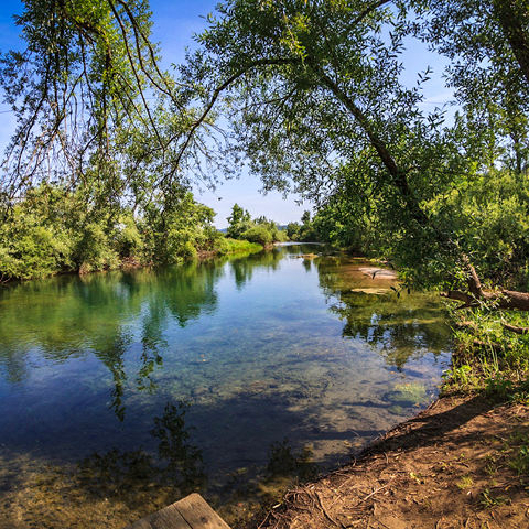 Nature Restauration Law