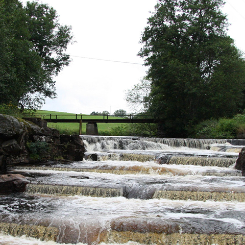 Hydropower & River Barriers