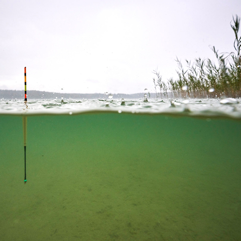 Water Framework Directive